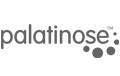 Palatinose